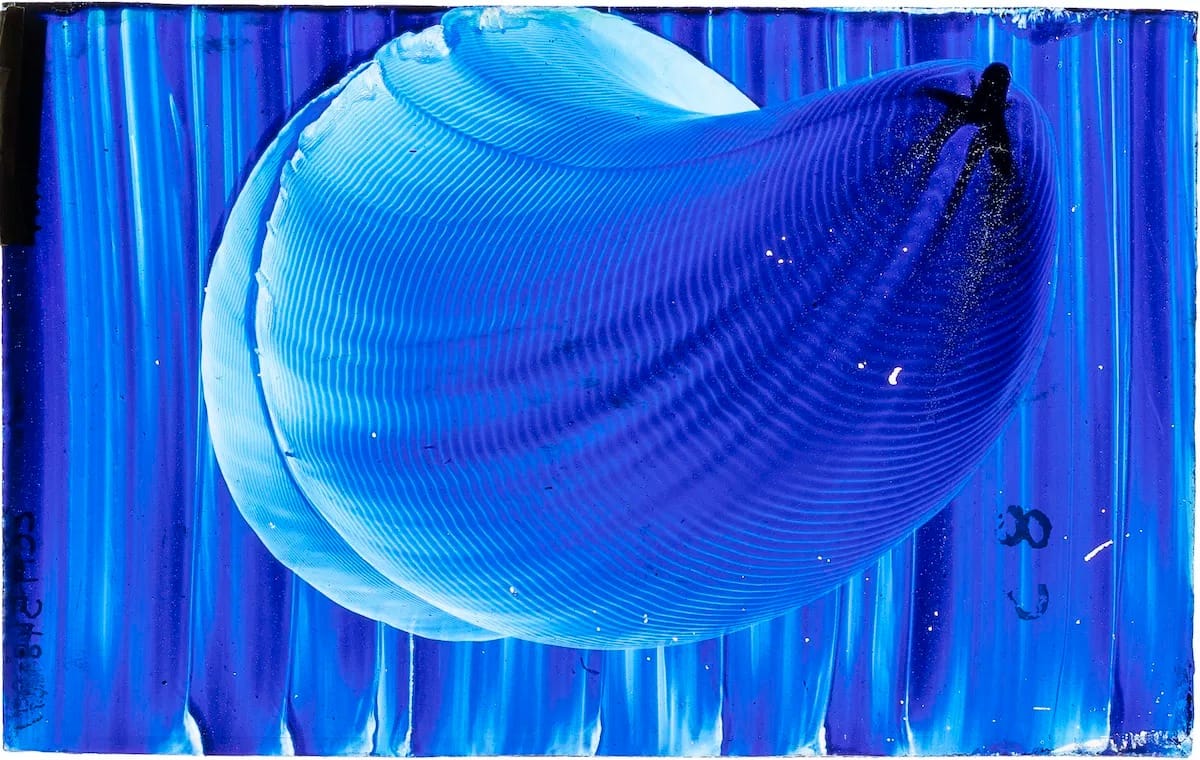 Single pitch Impression Figure by Margaret Watts Hughes, pigment on glass, Margaret Watts Hughes, date unknown.&nbsp;