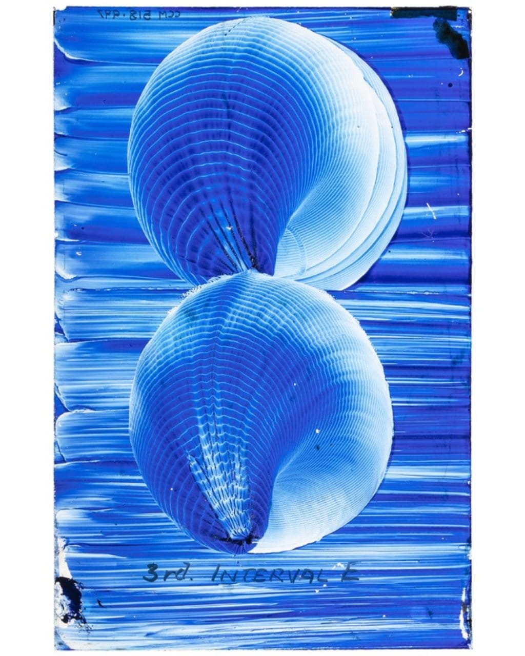 Voice Figure, 3rd interval by Megan Watts Hughes 