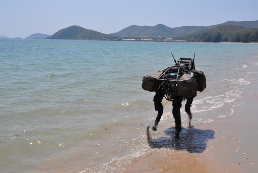 robot dog at the beach