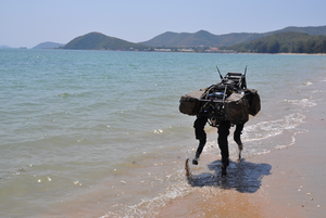 Boston Dynamics’ robot dog at the beach
