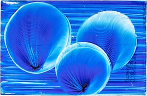 Voice Figures by Margaret Watts Hughes